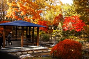 北海道札幌市の中島公園で紅葉がとてもきれいな様子